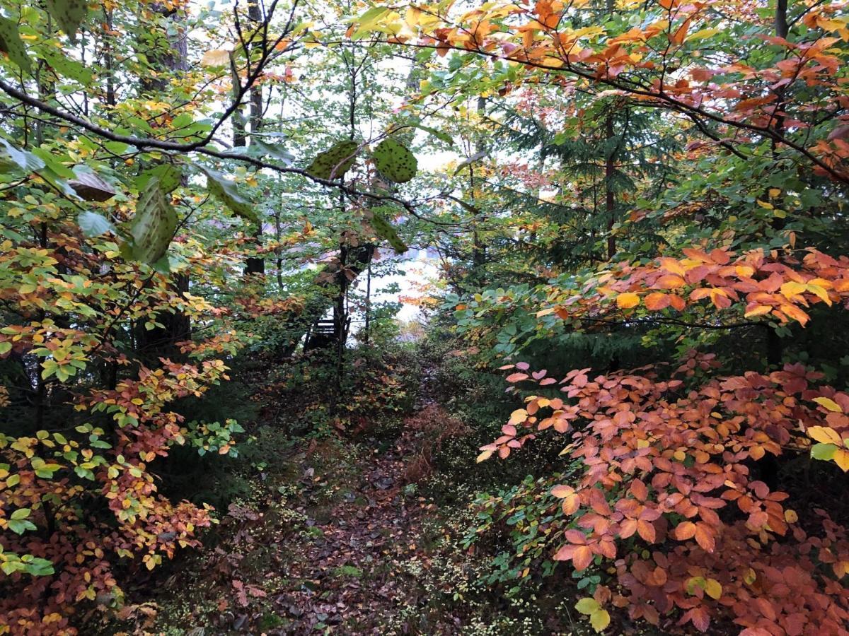 Naturskoent Boende Vid Sjoe Skånes Fagerhult エクステリア 写真
