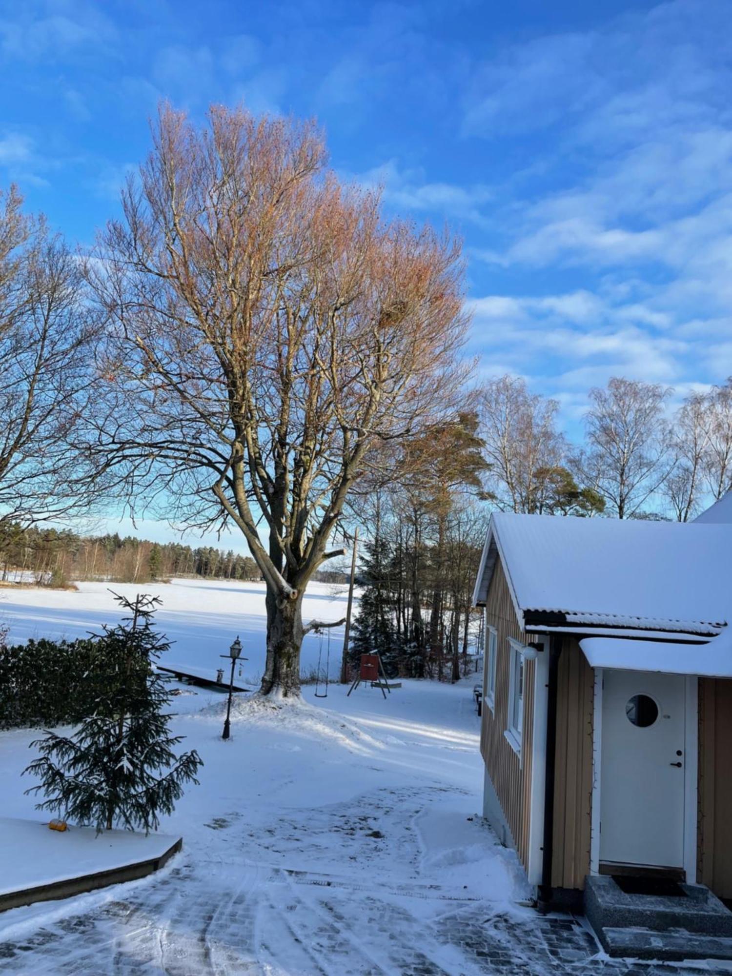 Naturskoent Boende Vid Sjoe Skånes Fagerhult エクステリア 写真